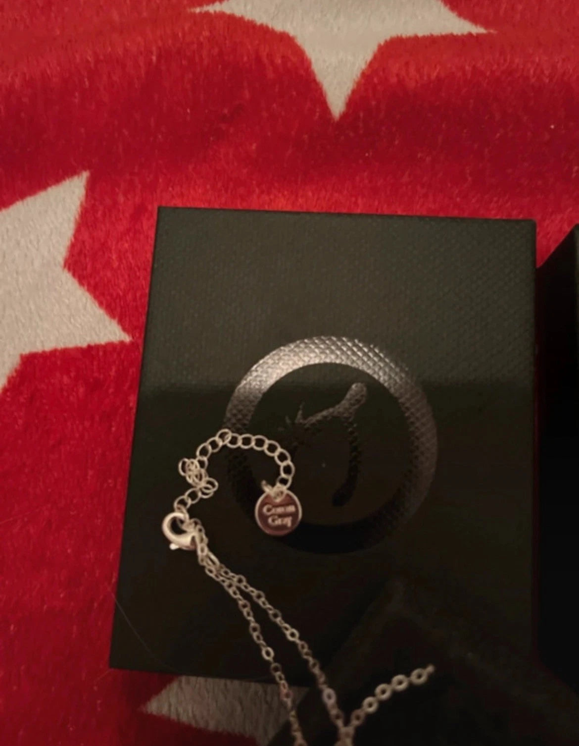 Conan Gray Wishbone Necklace (Authentic) Official